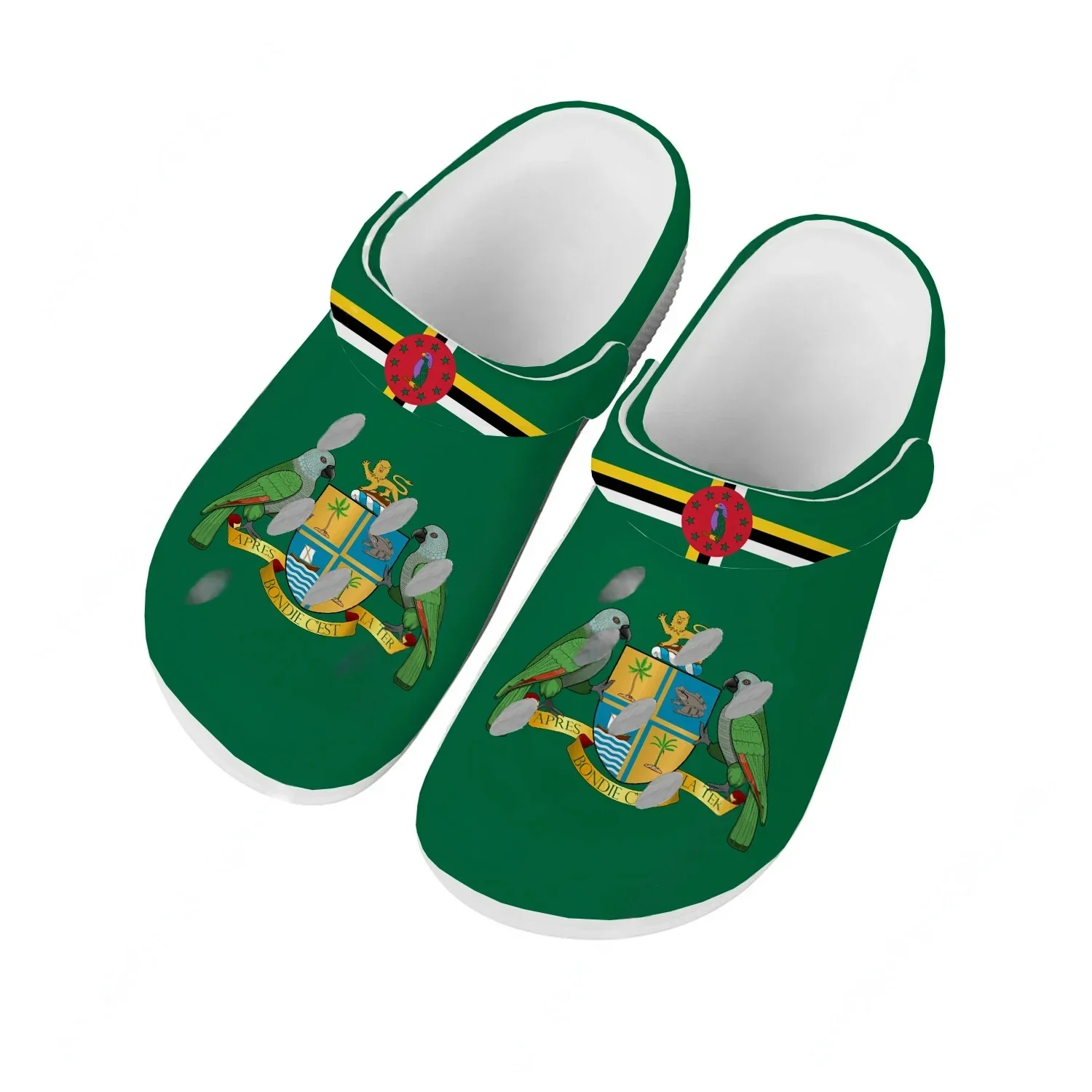 Home Outside Bathroom - Commonwealth Of Dominica Wasserschuhe für Herren