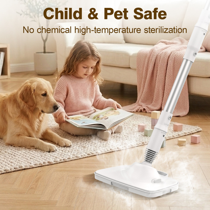 1500W Multifunktionaler Dampfm – Home Bathroom Cleaner Bewertung und Preis