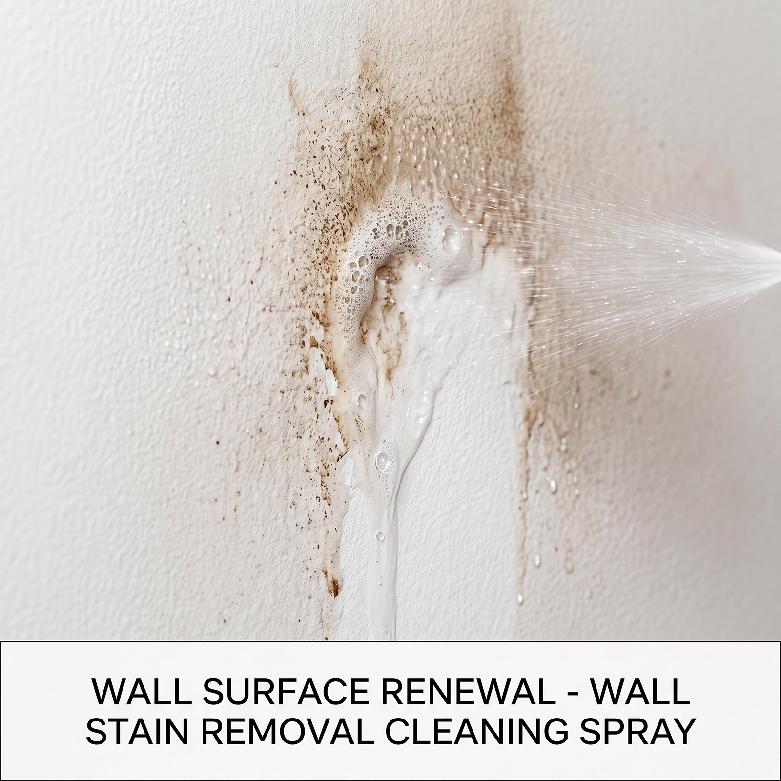 Schimmelentferner Wandspray-Re – Home Bathroom Cleaner Bewertung und Preis